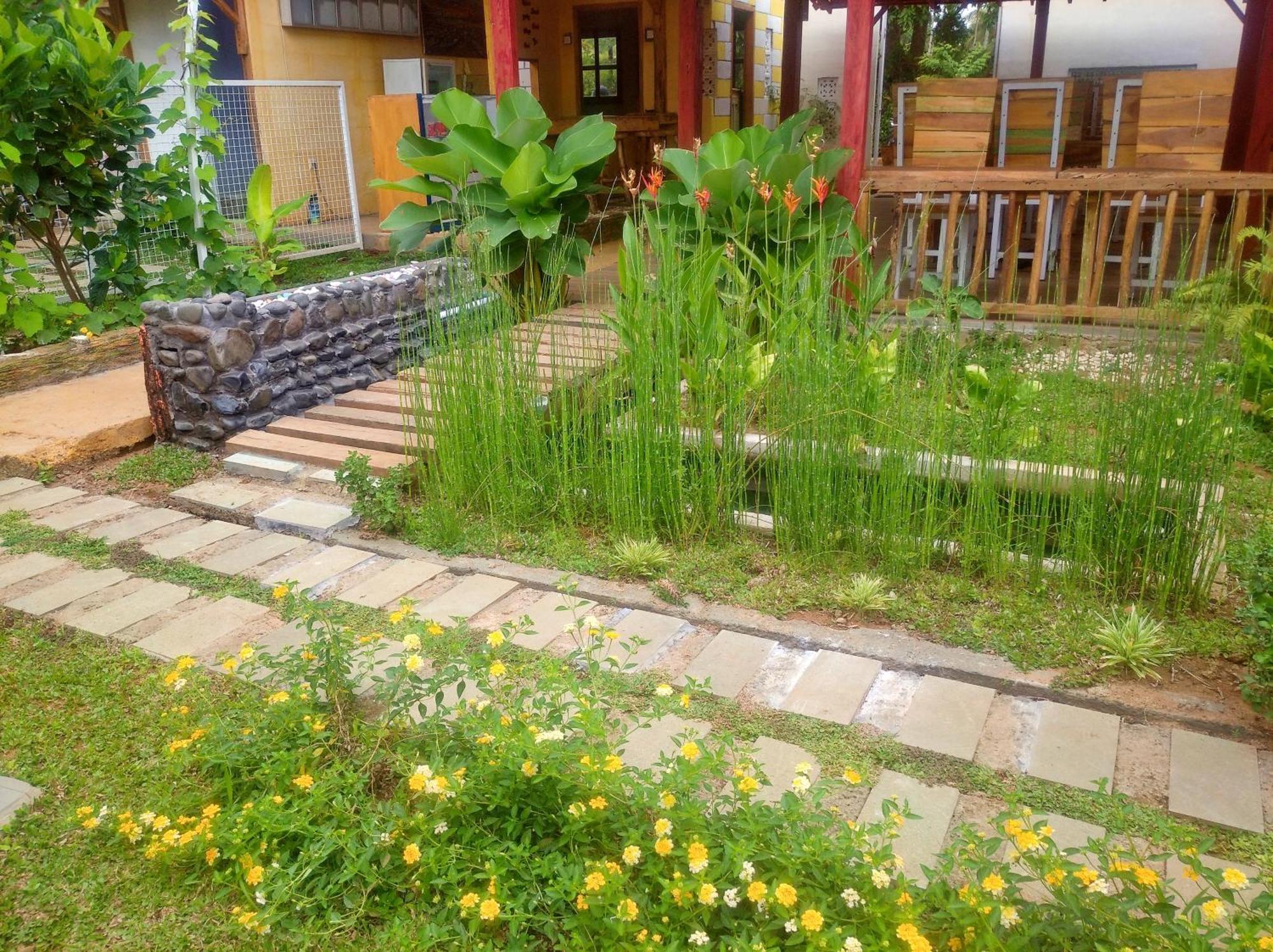 Wooden Kemiren Homestay Banyuwangi Banyuwangi  Extérieur photo