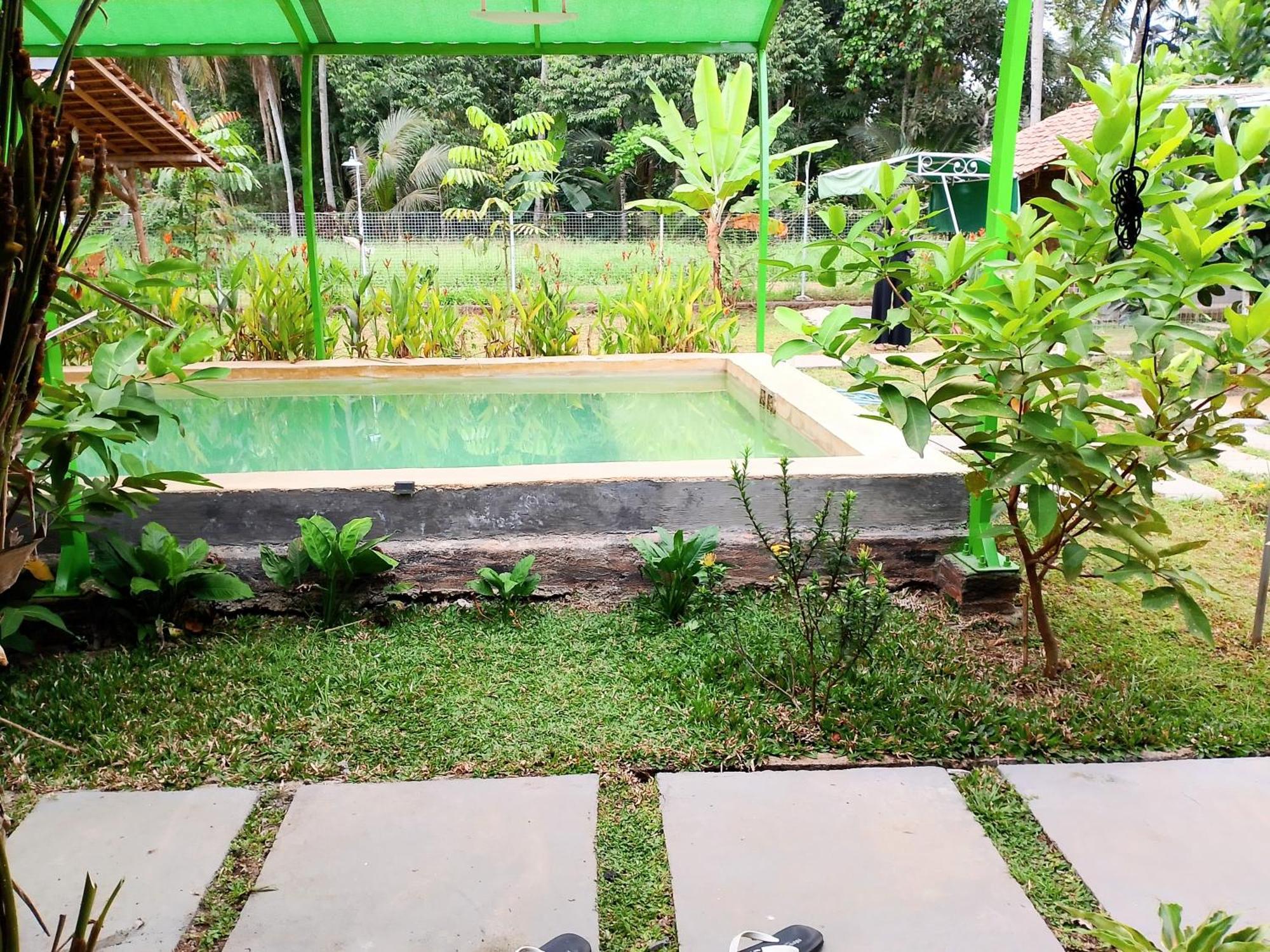 Wooden Kemiren Homestay Banyuwangi Banyuwangi  Extérieur photo
